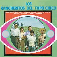 Los Rancheritos Del Topo Chico – Amorcito De Mi Vida