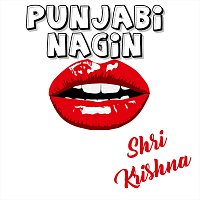Shri Krishna – Punjabi Nagin