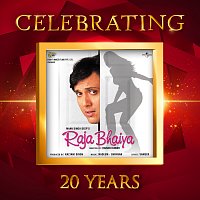 Různí interpreti – Celebrating 20 Years of Raja Bhaiya