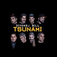 Divokej Bill – Tsunami CD