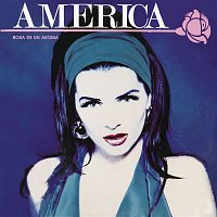 America – Rosa de Un Aroma