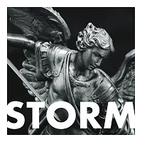 Storm [Paradigm Edit]