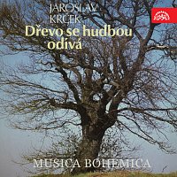 Musica Bohemica – Krček: Dřevo se hudbou odívá