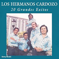 Přední strana obalu CD 20 Grandes Exitos