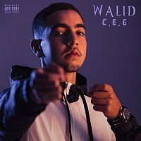 Walid – C.E.G