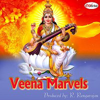 Pushpa Kaashi – Veena Marvels