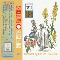Spacebomb House Band – VI: Connected by Birth and Employment