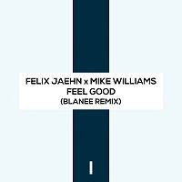 Felix Jaehn, Mike Williams – Feel Good [Blanee Remix]