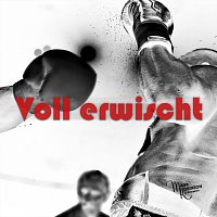 Přední strana obalu CD Voll erwischt