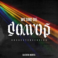 Saltatio Mortis – Wo sind die Clowns? [Orchesterversion]