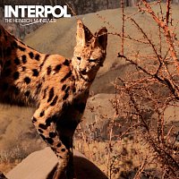 Interpol – The Heinrich Maneuver