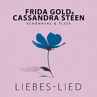 Přední strana obalu CD Liebes-Lied