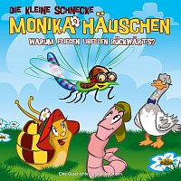 Die kleine Schnecke Monika Hauschen – 25: Warum fliegen Libellen ruckwarts?
