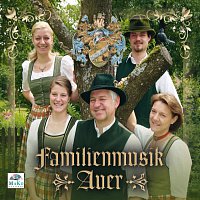 Familienmusik Auer – Volksmusik-Instrumental