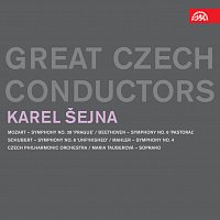 Různí interpreti – Karel Šejna. Great Czech Conductors FLAC