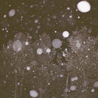 Matthew Cardinal – Dec 4th