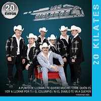 Los Rieleros Del Norte – 20 Kilates 20 Éxitos