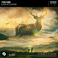 The Him – Look At Us Now