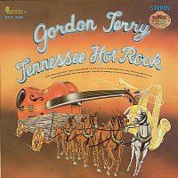 Gordon Terry – Tennessee Hot Rock