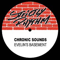 Přední strana obalu CD Evelin's Basement