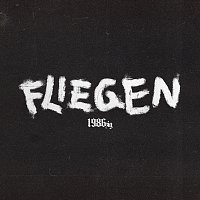 1986zig – Fliegen