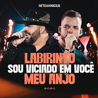 Neto e Vinicius, Moda Music – Labirinto / Sou Viciado Em Voce / Meu Anjo [Ao Vivo]