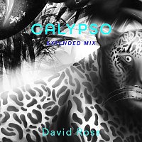 David Ross – Calypso (Extended Mix)