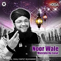 Al Haaj Hafiz Muhammad Tahir Qadri – Noor Wale Mustafa Aa Gaye