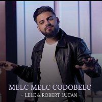 Přední strana obalu CD Melc melc codobelc