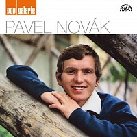 Pavel Novák – Pop galerie MP3