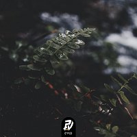 Přední strana obalu CD Charmolypi