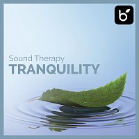 David Lyndon Huff – Sound Therapy: Tranquility
