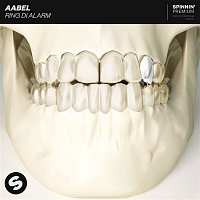 AABEL – Ring Di Alarm