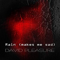 Přední strana obalu CD Rain (makes me sad)