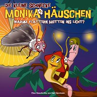 Die kleine Schnecke Monika Hauschen – 17: Warum flattern Motten ins Licht?