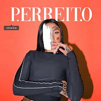 Přední strana obalu CD P. Erreit. O