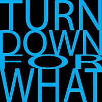 Turn Down For What – Turn Down For What (Dj Snake & Lil Jon Cover)