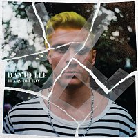 David Lee – Tears Off Joy