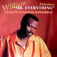 William Mthethwa – Tribute To Sophie Mathebela