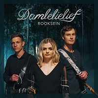 Rooksein – Damlelielief