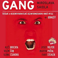 Gang Miroslava Saidla – Totální a neidentifikovatelné dezinformátorovo hnutí mysli č.1 MP3