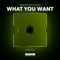 Sander van Doorn – What You Want