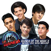 Banda of the Week 3 – What Do You Mean? (La Banda Performance)