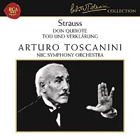 Strauss: Don Quixote, Op. 35 & Tod und Verklarung, Op. 24