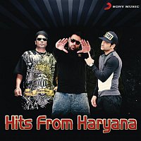 Přední strana obalu CD Hits from Haryana