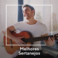 Various  Artists – Melhores Sertanejos