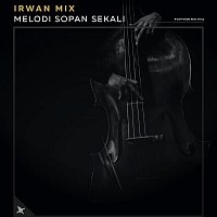 Irwan Mix – Melodi Sopan Sekali