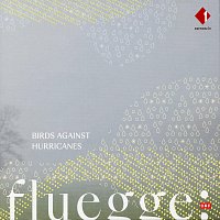 Alex Pinter – Fluegge: Birds Against Hurricanes