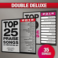 Různí interpreti – Top 25 Praise Songs/Top 10 Praise Songs [Double Deluxe 2012 Edition]