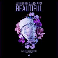 Přední strana obalu CD Beautiful